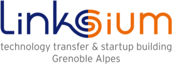 Logo Linksium